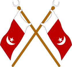 UAE Gun